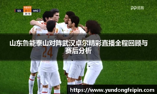 山东鲁能泰山对阵武汉卓尔精彩直播全程回顾与赛后分析